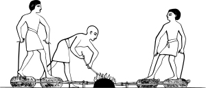 nopot